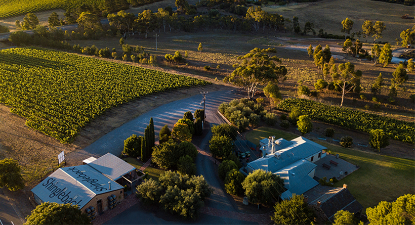 Shingleback vineyard and tasting room